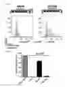 Fig. 08 - Methods and compositions for modulating AAV infection