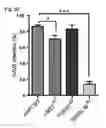 Fig. 14 - Methods and compositions for modulating AAV infection