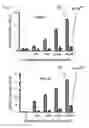 Fig. 18 - Methods and compositions for modulating AAV infection