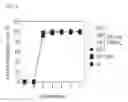 Fig. 05 - Methods of engineered tissue succulence in plants