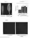 Fig. 09 - Methods of engineered tissue succulence in plants
