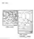 Fig. 22 - Methods of engineered tissue succulence in plants