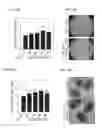 Fig. 41 - Methods of engineered tissue succulence in plants