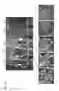 Fig. 53 - Methods of engineered tissue succulence in plants