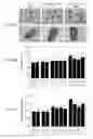 Fig. 77 - Methods of engineered tissue succulence in plants