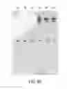 Fig. 261 - CRISPR enzymes and systems
