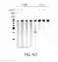 Fig. 280 - CRISPR enzymes and systems