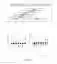 Fig. 282 - CRISPR enzymes and systems