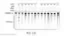 Fig. 335 - CRISPR enzymes and systems