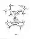 Fig. 02 - Volatile Dihydropyrazinly and Dihydropyrazine Metal Complexes