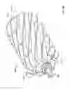 Fig. 100 - Pool cleaner canister handle