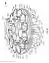 Fig. 64 - Pool Cleaner Filter Medium