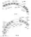 Fig. 82 - Pool Cleaner Filter Medium