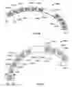Fig. 82 - Pool cleaner roller latch