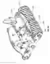 Fig. 89 - Pool cleaner roller latch
