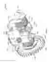Fig. 86 - Pool cleaner power supply