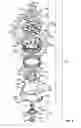 Fig. 10 - Pool cleaner impeller subassembly