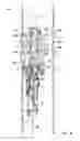 Fig. 06 - High trip rate drilling rig