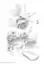 Fig. 09 - Engine