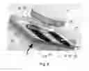 Fig. 09 - PLANAR FLOW CHANNELS FOR PERISTALTIC PUMPS