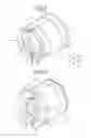 Fig. 02 - Tubular vibration-damping device