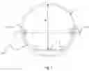 Fig. 08 - LED tube lamp