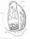 Fig. 01 - Cosmetic makeup sponge/blender container
