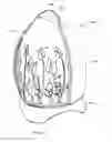 Fig. 04 - Cosmetic makeup sponge/blender container