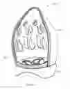 Fig. 07 - Cosmetic makeup sponge/blender container