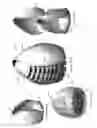 Fig. 22 - Cosmetic makeup sponge/blender container