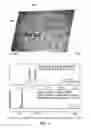 Fig. 04 - Dual wavelength context imaging Raman and fluorescence spectrometer