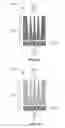 Fig. 29 - Micro-optics for imaging module with multiple converging lenses per channel