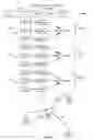 Fig. 14 - INDOOR TRILATERALIZATION USING DIGITAL OFF-AIR ACCESS UNITS