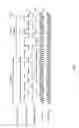 Fig. 02 - Efficient detection of ranging code correlation function of a GNSS signal