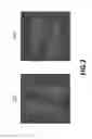 Fig. 08 - Method and apparatus for ultrafast time-resolved digital holography