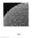 Fig. 02 - Toner