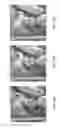 Fig. 11 - IMAGE REPRODUCTION DEVICE, IMAGE REPRODUCTION METHOD, AND DIGITAL HOLOGRAPHY DEVICE