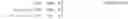 Fig. 05 - Method for providing content and apparatus therefor