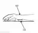 Fig. 01 - wrist support device