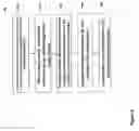 Fig. 07 - Wearable computer using programmed local tag