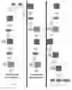 Fig. 08 - System and method for biometric identification