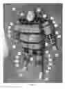 Fig. 02 - MODULAR MANNEQUIN