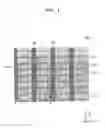 Fig. 02 - Semiconductor devices and methods of forming the same