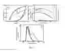 Fig. 07 - Organic light emitting device and preparation method thereof