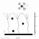 Fig. 04 - Functionalised electrochemically active material and method of functionalisation