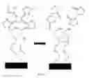 Fig. 06 - Functionalised electrochemically active material and method of functionalisation