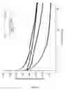Fig. 13 - Functionalised electrochemically active material and method of functionalisation
