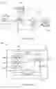 Fig. 02 - Handling of content delivery in a client node
