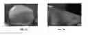 Fig. 02 - Controlled release mentholated tobacco beads