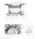 Fig. 02 - Fixation base and guides for dental prosthesis installation